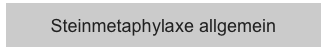Steinmetaphylaxe allgemein
