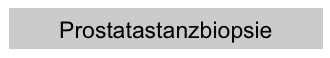 Prostatastanzbiopsie