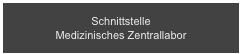 Schnittstelle 
Medizinisches Zentrallabor
