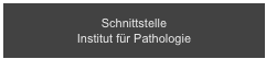 Schnittstelle 
Institut für Pathologie