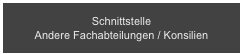 Schnittstelle 
Andere Fachabteilungen / Konsilien