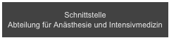 Schnittstelle 
Abteilung für Anästhesie und Intensivmedizin