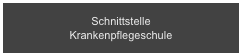 Schnittstelle 
Krankenpflegeschule