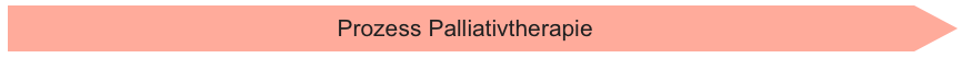 Prozess Palliativtherapie