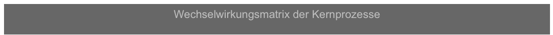 Wechselwirkungsmatrix der Kernprozesse