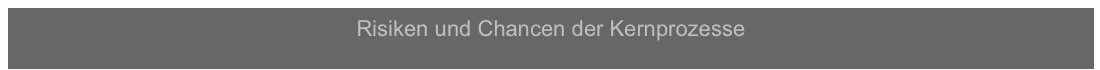 Risiken und Chancen der Kernprozesse