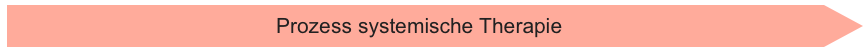Prozess systemische Therapie