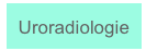 Uroradiologie