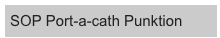 SOP Port-a-cath Punktion